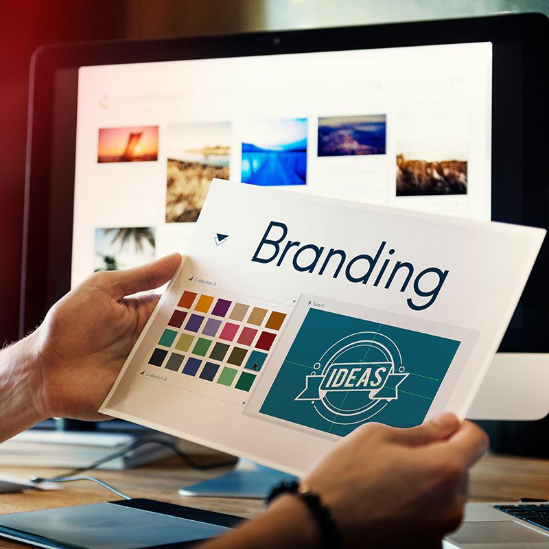 Spring-Creative-Inc-Branding Spring-Creative-Inc-Branding