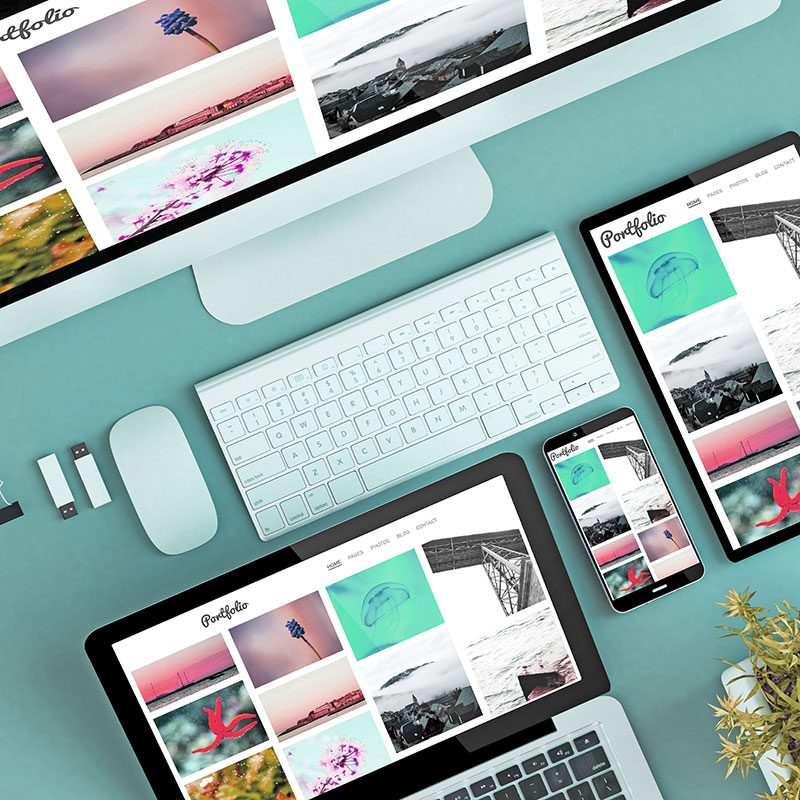 Spring-Creative-Inc-Wordpress-Website-Developers Spring-Creative-Inc-Wordpress-Website-Developers